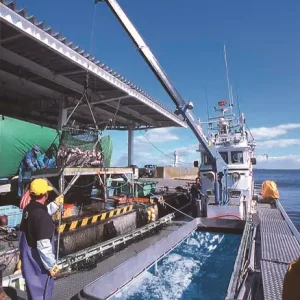 TADANO MARINE CRANE